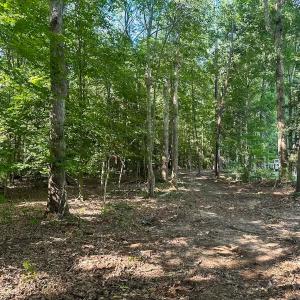 Photo #26 of Off of Hills Dr, Dewitt, VA 27.0 acres