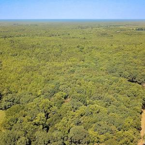 Photo #27 of Off of Hills Dr, Dewitt, VA 27.0 acres