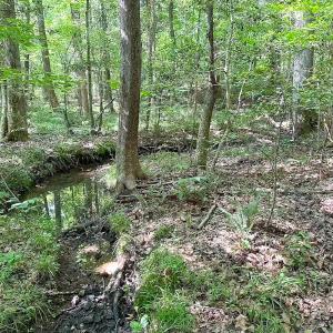 Photo #28 of Off of Hills Dr, Dewitt, VA 27.0 acres