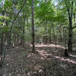 Photo #29 of Off of Hills Dr, Dewitt, VA 27.0 acres