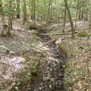 Photo #31 of Off of Hills Dr, Dewitt, VA 27.0 acres