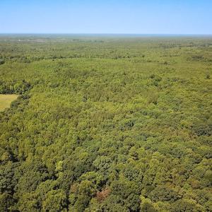 Photo #33 of Off of Hills Dr, Dewitt, VA 27.0 acres