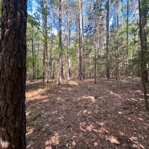Photo #35 of Off of Hills Dr, Dewitt, VA 27.0 acres