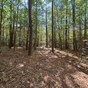 Photo #36 of Off of Hills Dr, Dewitt, VA 27.0 acres