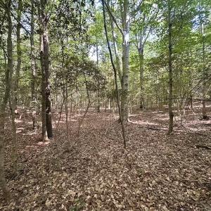 Photo #37 of Off of Hills Dr, Dewitt, VA 27.0 acres