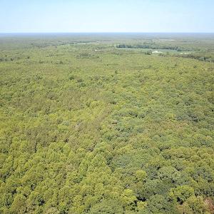 Photo #38 of Off of Hills Dr, Dewitt, VA 27.0 acres