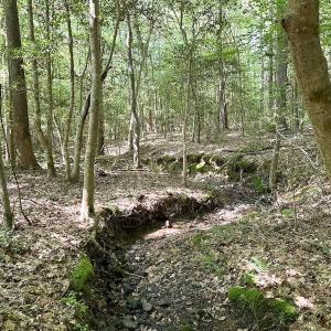 Photo #39 of Off of Hills Dr, Dewitt, VA 27.0 acres