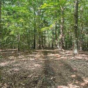 Photo #40 of Off of Hills Dr, Dewitt, VA 27.0 acres