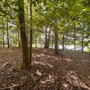 Photo #4 of Off of Hills Dr, Dewitt, VA 27.0 acres