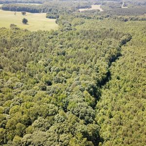 Photo #8 of Off of Hills Dr, Dewitt, VA 27.0 acres