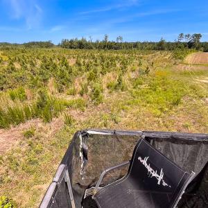Photo #12 of Off of Moore's Ferry Rd, Skippers, VA 229.0 acres