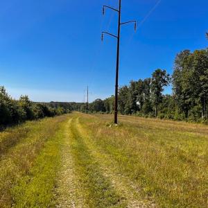 Photo #13 of Off of Moore's Ferry Rd, Skippers, VA 229.0 acres