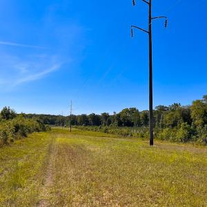 Photo #14 of Off of Moore's Ferry Rd, Skippers, VA 229.0 acres