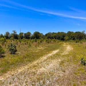 Photo #15 of Off of Moore's Ferry Rd, Skippers, VA 229.0 acres