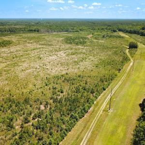 Photo #16 of Off of Moore's Ferry Rd, Skippers, VA 229.0 acres
