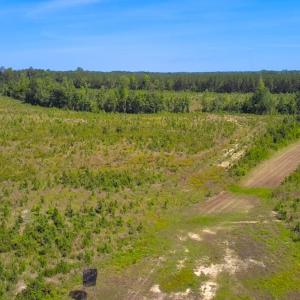 Photo #17 of Off of Moore's Ferry Rd, Skippers, VA 229.0 acres