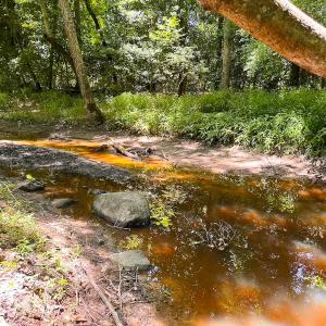 Photo #18 of Off of Moore's Ferry Rd, Skippers, VA 229.0 acres