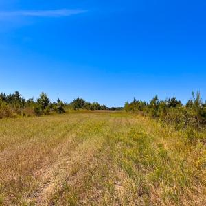 Photo #19 of Off of Moore's Ferry Rd, Skippers, VA 229.0 acres