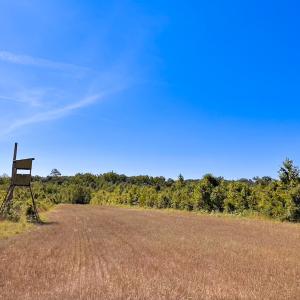 Photo #20 of Off of Moore's Ferry Rd, Skippers, VA 229.0 acres