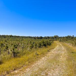 Photo #21 of Off of Moore's Ferry Rd, Skippers, VA 229.0 acres
