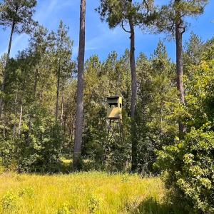 Photo #22 of Off of Moore's Ferry Rd, Skippers, VA 229.0 acres