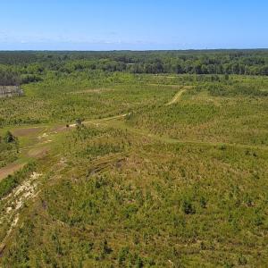 Photo #23 of Off of Moore's Ferry Rd, Skippers, VA 229.0 acres