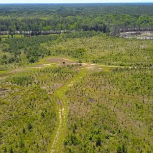 Photo #24 of Off of Moore's Ferry Rd, Skippers, VA 229.0 acres
