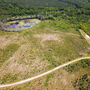 Photo #25 of Off of Moore's Ferry Rd, Skippers, VA 229.0 acres