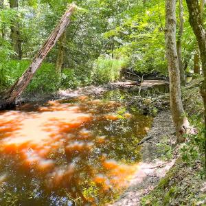 Photo #26 of Off of Moore's Ferry Rd, Skippers, VA 229.0 acres
