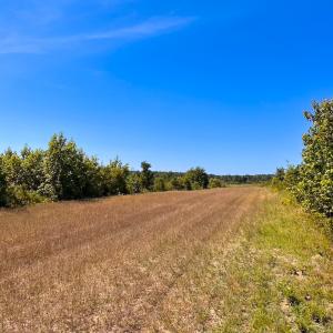 Photo #27 of Off of Moore's Ferry Rd, Skippers, VA 229.0 acres