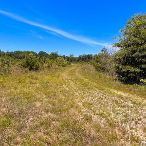 Photo #28 of Off of Moore's Ferry Rd, Skippers, VA 229.0 acres