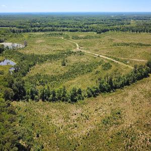 Photo #3 of Off of Moore's Ferry Rd, Skippers, VA 229.0 acres