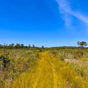 Photo #30 of Off of Moore's Ferry Rd, Skippers, VA 229.0 acres