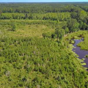 Photo #32 of Off of Moore's Ferry Rd, Skippers, VA 229.0 acres