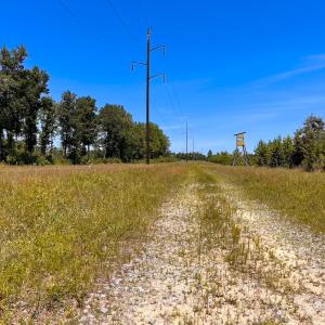 Photo #34 of Off of Moore's Ferry Rd, Skippers, VA 229.0 acres