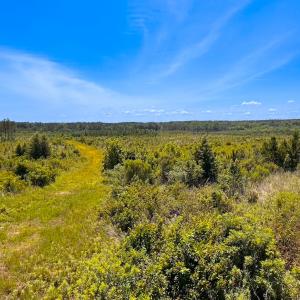 Photo #35 of Off of Moore's Ferry Rd, Skippers, VA 229.0 acres
