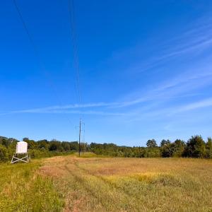 Photo #36 of Off of Moore's Ferry Rd, Skippers, VA 229.0 acres