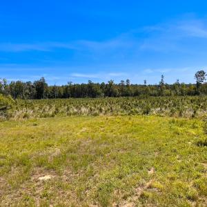 Photo #38 of Off of Moore's Ferry Rd, Skippers, VA 229.0 acres