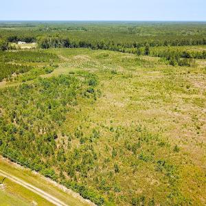 Photo #39 of Off of Moore's Ferry Rd, Skippers, VA 229.0 acres