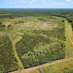 Photo #4 of Off of Moore's Ferry Rd, Skippers, VA 229.0 acres