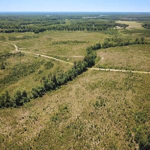 Photo #40 of Off of Moore's Ferry Rd, Skippers, VA 229.0 acres