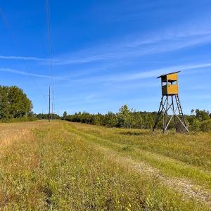 Photo #6 of Off of Moore's Ferry Rd, Skippers, VA 229.0 acres