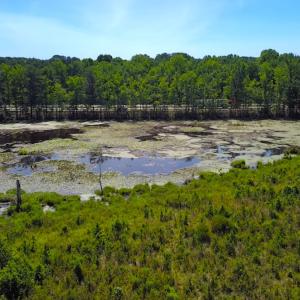 Photo #9 of Off of Moore's Ferry Rd, Skippers, VA 229.0 acres