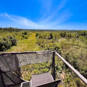 Photo #41 of Off of Moore's Ferry Rd, Skippers, VA 229.0 acres