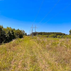 Photo #42 of Off of Moore's Ferry Rd, Skippers, VA 229.0 acres