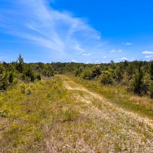 Photo #44 of Off of Moore's Ferry Rd, Skippers, VA 229.0 acres