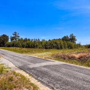 Photo #45 of Off of Moore's Ferry Rd, Skippers, VA 229.0 acres