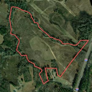 Photo #2 of Off of Spring Church Road, Skippers, VA 43.0 acres