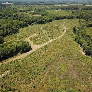 Photo #3 of Off of Spring Church Road, Skippers, VA 43.0 acres