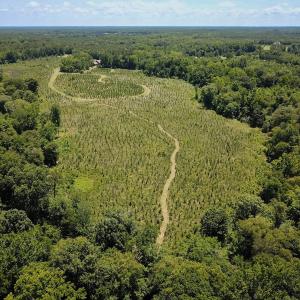 Photo #4 of Off of Spring Church Road, Skippers, VA 43.0 acres